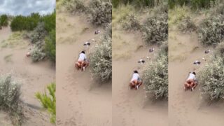 College couple outdoor fucking sexy mms